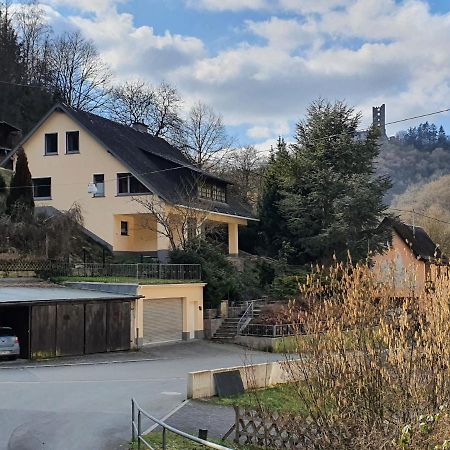 Grosses Ferienhaus Sauerburgblick Sauerthal Eksteriør bilde