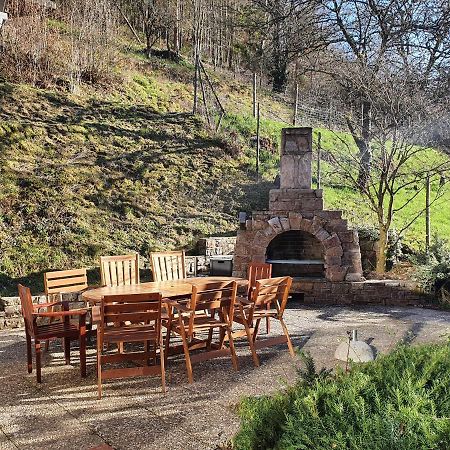 Grosses Ferienhaus Sauerburgblick Sauerthal Eksteriør bilde