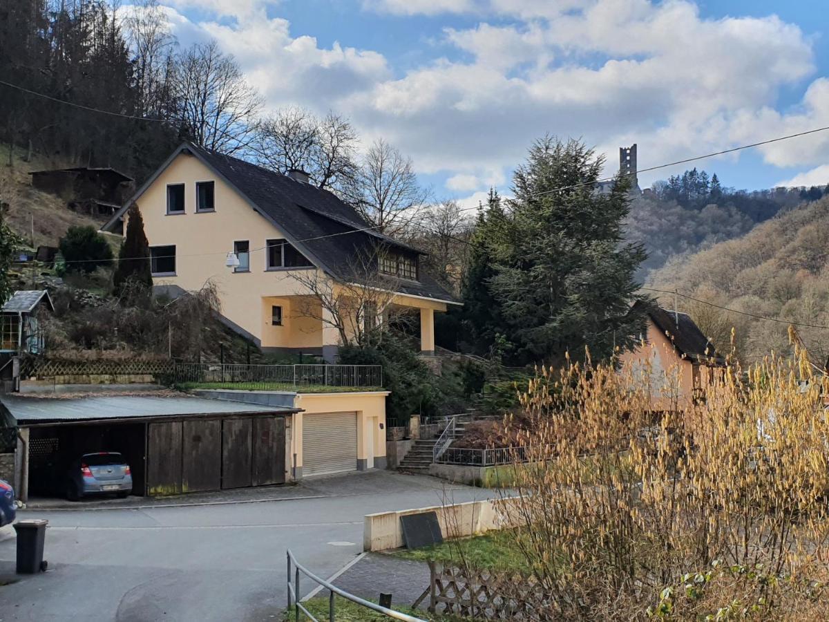 Grosses Ferienhaus Sauerburgblick Sauerthal Eksteriør bilde